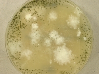 OATC · 55d · 25C