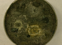 PDA · 68d · 25C