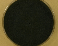 PDA · 15d · 22C