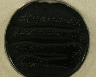 PDA · 13d · 25C