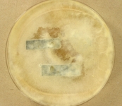 PDA · 6mo · 22C