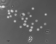 CERC · 58d · 25C