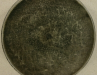 PDA · 14d · 30C
