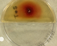 48d · 30C