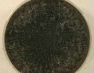 CERC · 7d · 30C
