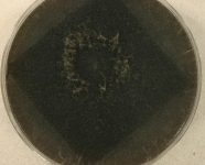 PDAC · 7d · 30C