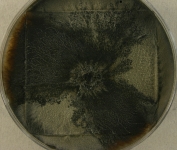 PDAC · 21d · 22C
