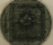 CERC · 21d · 25C