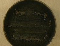 PDA · 65d · 22C