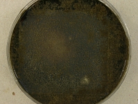 OATC · 16d · 22C
