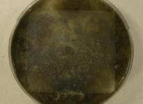 OATC · 28d · 18C