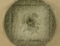 CERC · 14d · 22C