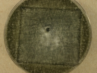 CERC · 14d · 22C