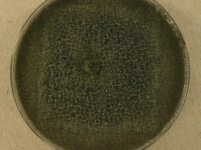 PDAC · 14d · 22C