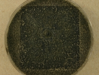 CERC · 14d · 22C