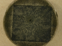CERC · 14d · 22C