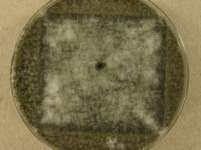 CERC · 14d · 22C