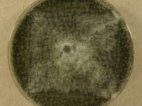 CERC · 14d · 22C