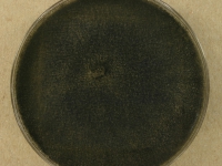 PDAC · 14d · 22C