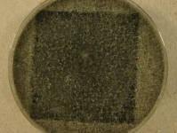 CERC · 14d · 22C