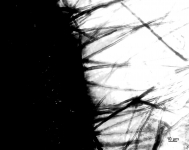 OATC · 30d · 22C · PH