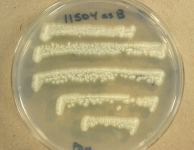 PDA · 7d · 9C