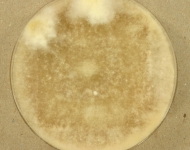 CERC · 35d · 22C