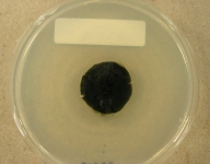 PDAC · 35d · 25C
