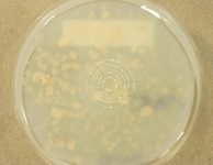 OATC · 43d · 30C