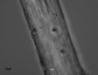 10d · 30C