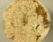 PDAC · 21d · 22C