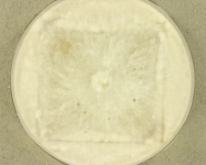 CERC · 21d · 22C