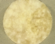 PDAC · 21d · 22C
