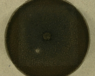 PDAC · 21d · 22C