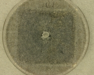 CERC · 14d · 30C