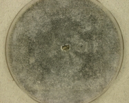 CERC · 21d · 30C