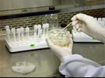 Preparing a fungal suspension for freezing