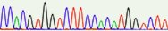 Chromatogram